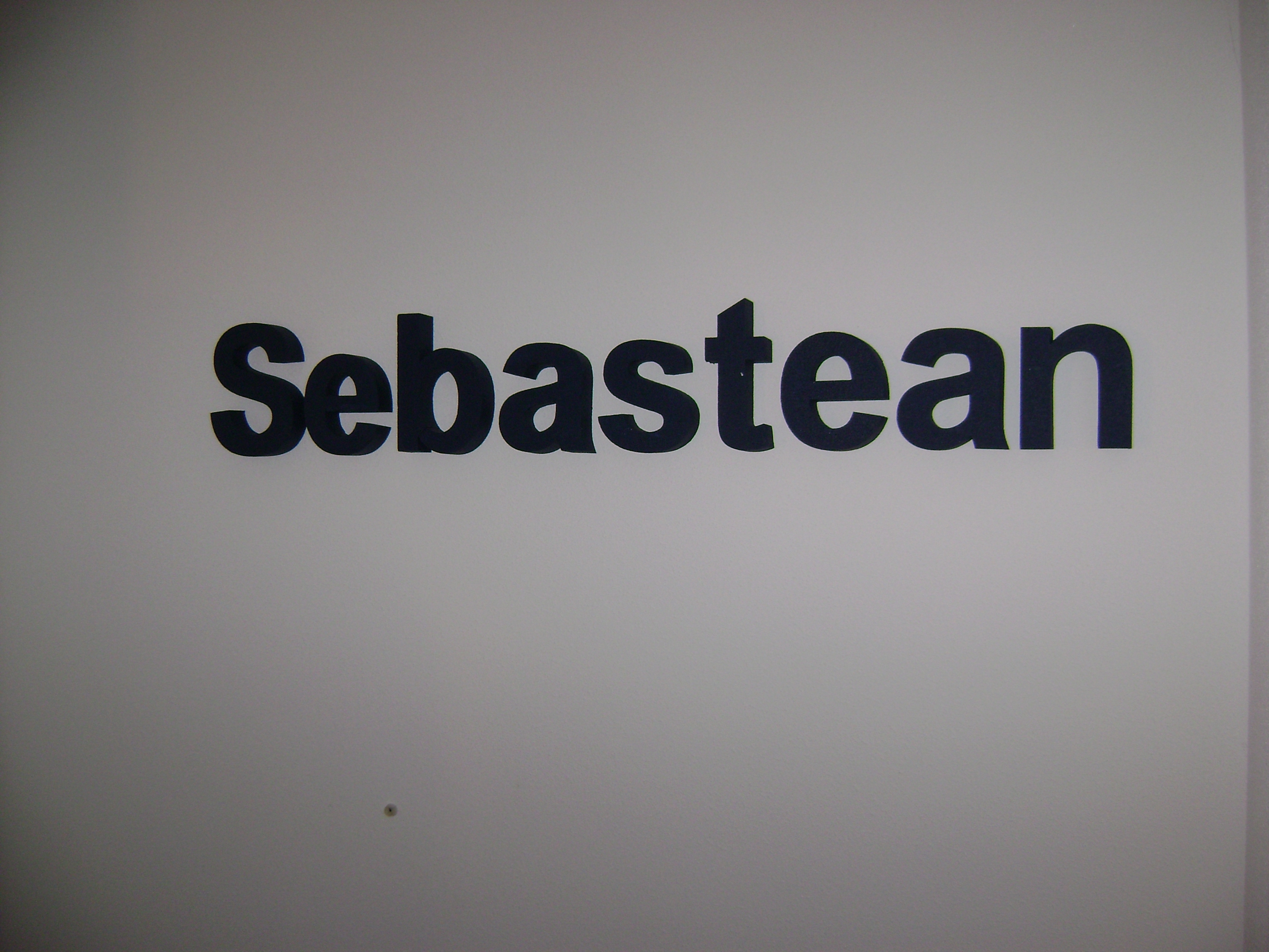 sebastean 019 (2802K)